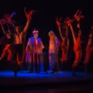 Lyric Opera of Chicago to Hold Dance Auditions for THE PEARL FISHERS