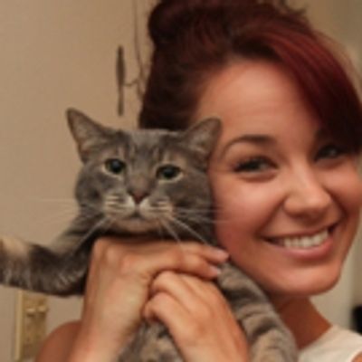 BWW Exclusive: TAILS OF BROADWAY- Meet Sierra Boggess' Broadway Kitties- Celie & Olivia!