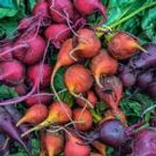 Photo Flash: Jack Goodman's Photography on View Now at Jackson Gallery