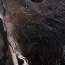 Fabergé: Royal Gifts & the 1892 Imperial Trellis Egg Landmark Discovery Solves 100 Y