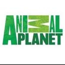 Animal Planet Airs New Episodes of NORTH WOODS LAW, Beginning Tonight