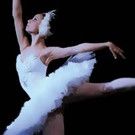 The State Ballet Theater of Russia Presents SWAN LAKE