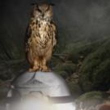 NEVILLE'S ILAND to Play SJT