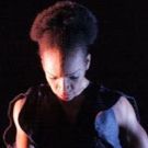 BWW Review: Ronald K. Brown/Evidence Celebrates its 30th Anniversary at BRIC