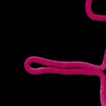 MPAC to Welcome Mummenschanz