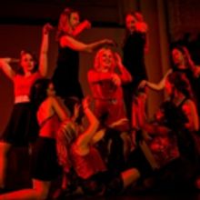 BWW Review: Presenting Diversity with ARIES IN FLIGHT