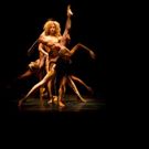 The Wallis to Welcome Ezralow Dance Company's OPEN This Month