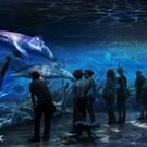 National Geographic ENCOUNTER: OCEAN ODYSSEY to Open in Times Square Next Fall