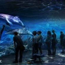 National Geographic ENCOUNTER: OCEAN ODYSSEY to Open in Times Square Next Fall