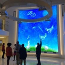 The Ballard Institute's Fall Puppet Forum to Discuss Performance in Boston Hospitals,