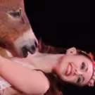American Repertory Ballet Announces A MIDSUMMER NIGHT'S DREAM at State Theatre