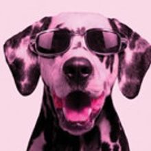 Mardi Gras at New Theatre