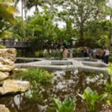 Photo Flash: Mounts Botanical Garden Dedicates New Windows on the Floating World
