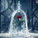 Photo Flash: First Look at Poster Art for Disney's BEAUTY AND THE BEAST!