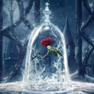 Photo Flash: First Look at Poster Art for Disney's BEAUTY AND THE BEAST!