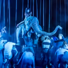 Photo Flash: Welcome to the Jungle! First Look at RUNNING WILD at Regent's Park Open…