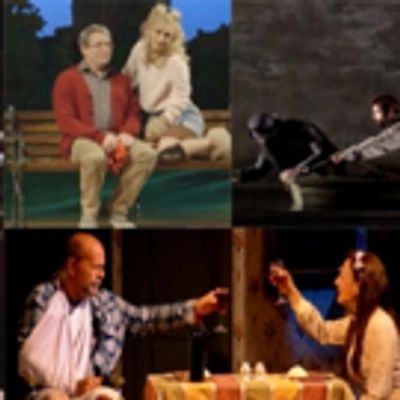 TV: The Year that Was- Celebrating the Plays of 2015!