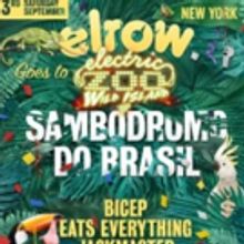 Tickets to ELECTRIC ZOO: WILD ISLAND Now on Sale