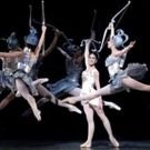 BWW Dance Review: American Ballet Theatre's SYLVIA