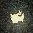 Hop Along to Reissue 2012 Debut Album 'Get Disowned' 3/4
