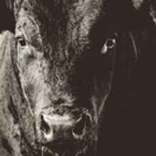 The Awakening at Jack Studio Theatre this September