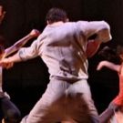 Janis Brenner & Dancers present New York Season 6/1