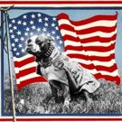 CATS Meets HAMILTON in Patriotic New Musical 'SGT. STUBBY' Off-Broadway