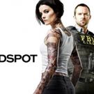 'Good Wife' Alum Archie Panjabi Joins Cast of NBC's BLINDSPOT