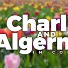 CHARLIE AND ALGERNON Concert Set for Feinstein's/54 Below