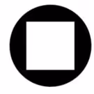 Performance Network Sets Schedule for Network Palooza Weekend 2015