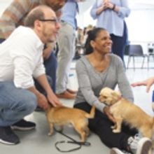 Photo Flash: Audra McDonald Auditions Pooches for 'LADY DAY' Companion in London