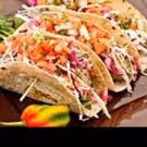 Taco Beach Shack Voted #1 Restaurant for Best Tasting Tacos // Hostel Hotspot in…