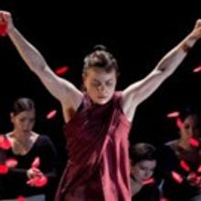 Z Space and Piece by Piece Productions Present Noche Flamenca's ANTIGONA