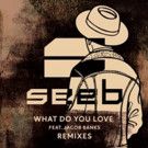 DJ/Producer Trio Seeb's 'What Do You Love' (Remixes) Out Now