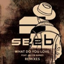 DJ/Producer Trio Seeb's 'What Do You Love' (Remixes) Out Now