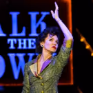 BWW Review: END OF THE RAINBOW, Belgrade Theatre Coventry, February 23 2016