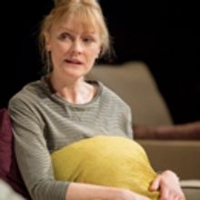UK Premiere of RABBIT HOLE Opens Tonight at Hampstead Theatre