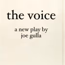 Joe Gulla's THE VOICE Warms Up Binghamton, NY