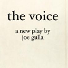 Joe Gulla's THE VOICE Warms Up Binghamton, NY