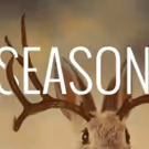 Jackalope Theatre Company's 10th Season Features Three World Premieres
