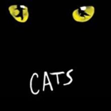 FSCJ Artist Series Sets CATS as 11th Annual Summer Musical Theater Experience