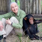 WAR FOR THE PLANET OF THE APES and Jane Goodall Institute Announce Partnership