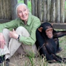 WAR FOR THE PLANET OF THE APES and Jane Goodall Institute Announce Partnership