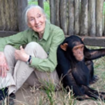WAR FOR THE PLANET OF THE APES and Jane Goodall Institute Announce Partnership