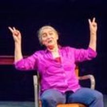 Photo Flash: First Look at Alice Eve Cohen in THIN WALLS at Kitchen Theatre