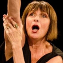 CALL FOSSE AT THE MINSKOFF presents an Intimate Account of Working with Two Broadway…