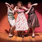BWW Review: CASA VALENTINA: High-heeled Politics