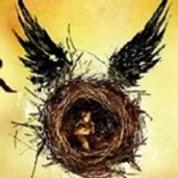 VIDEO: Fans Countdown For Midnight Release of HARRY POTTER AND THE CURSED CHILD… Video