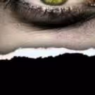 Stageworks' JEKYLL & HYDE to Benefit Willow Domestic Violence Center