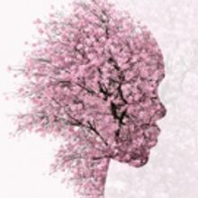 Theatre Royal Stratford East Sets New Season